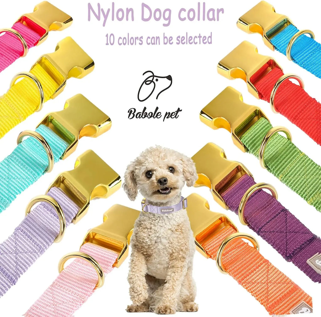 Adjustable Lavender Nylon Dog Collar with Safety Metal Buckle for Small to Large Dogs Babole Pet