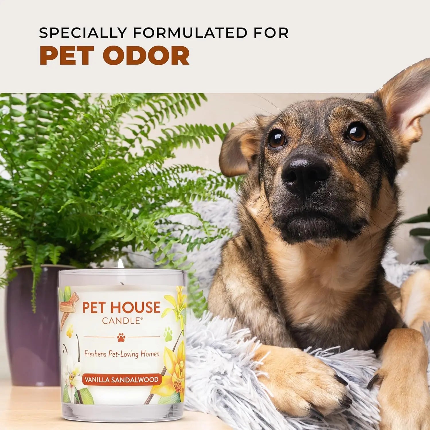 Elevate Your Home with One Fur All's Pumpkin Spice Pet House Candles - Long-Lasting, Eco-Friendly Odor Eliminators (Set of 2) One Fur All