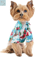 KOESON Tropical Palm Trees Dog Shirt - Casual Button-Down Summer Outfit for Small Dogs and Cats, Blue 2XL KOESON