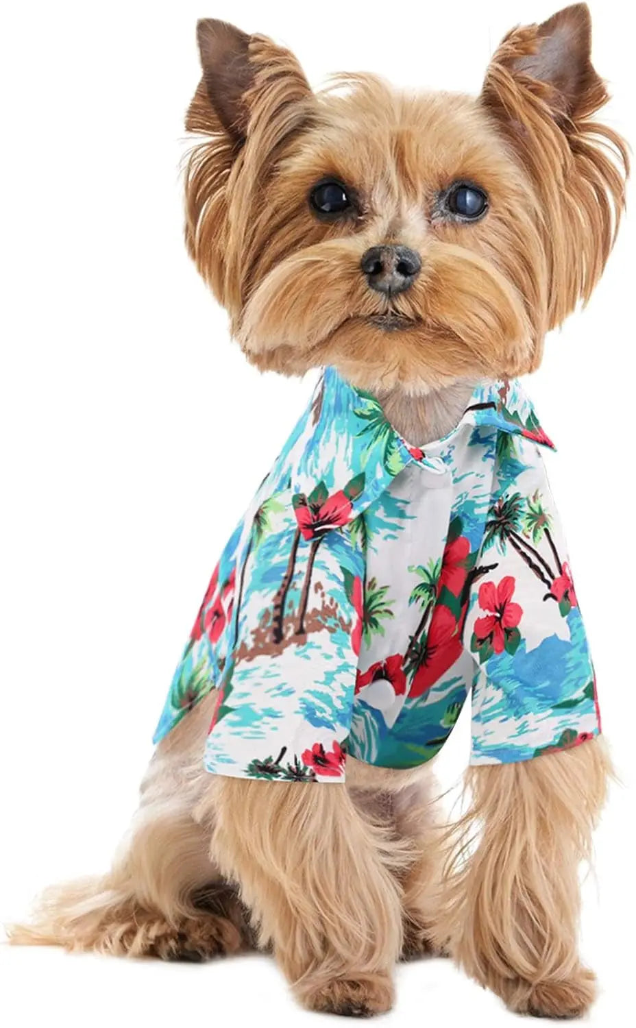 KOESON Tropical Palm Trees Dog Shirt - Casual Button-Down Summer Outfit for Small Dogs and Cats, Blue 2XL KOESON