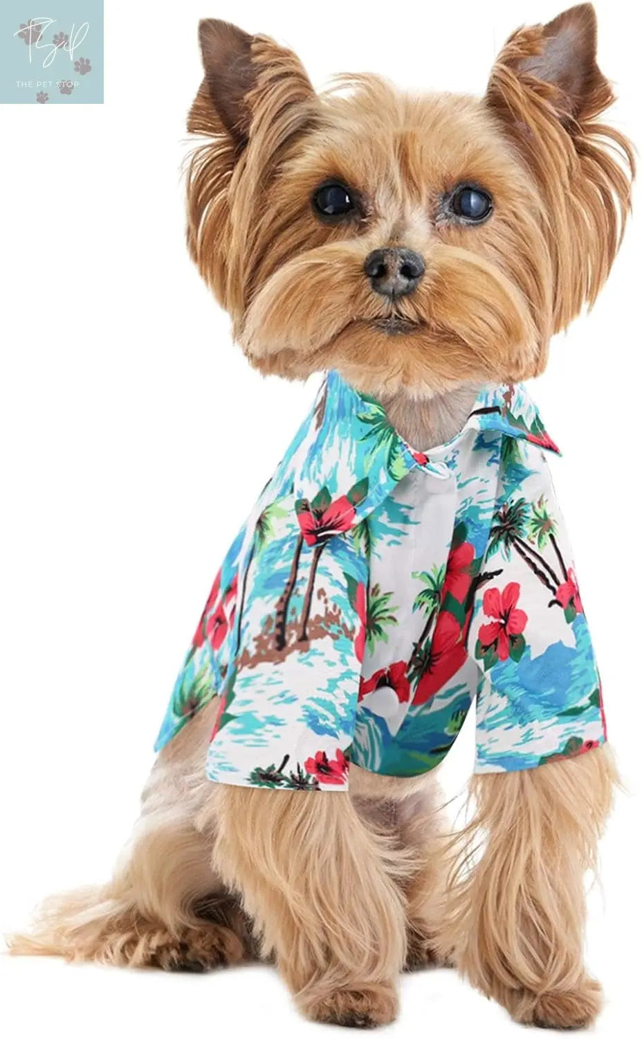 KOESON Tropical Palm Trees Dog Shirt - Casual Button-Down Summer Outfit for Small Dogs and Cats, Blue 2XL KOESON