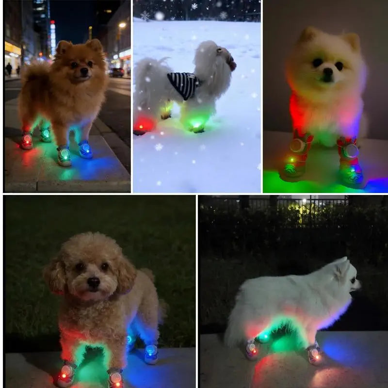 2026 New Glowing Dog Shoes (4Pcs)Light up Dog Shoes,Anti-Slip Sole Paw Protector Booties for Small Medium Dogs Hot Pavement Safety The Pet Stop