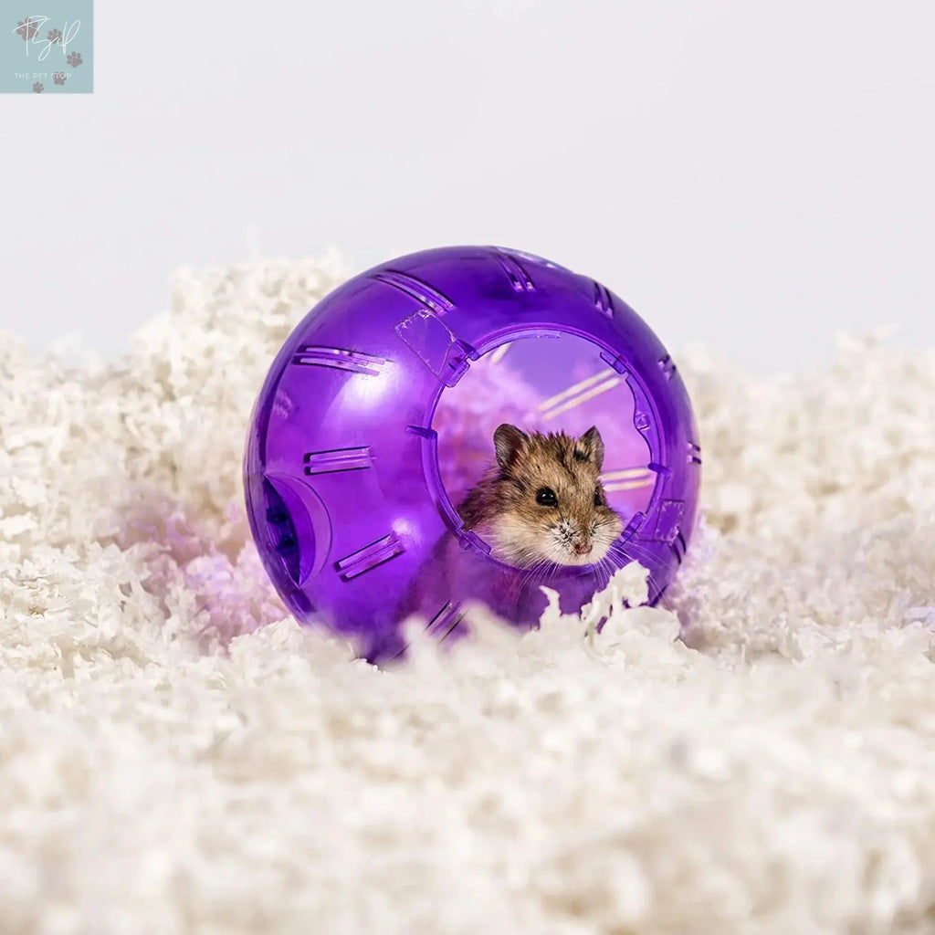 (4 Pack) Pets Pick 36L White Uber Pet Bedding, Hamster, Rabbit, Rat American Wood Fibers