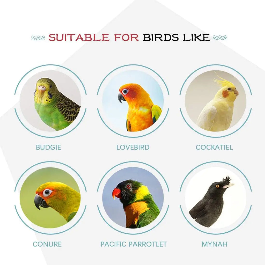 Hilitchi Vibrant 3-Pack Bird Toy Set: Engaging Hanging Bells, Rattan Balls, and Twisted String for Happy Parrots, Parakeets, and Lovebirds - Perfect for Small Cages! Hilitchi