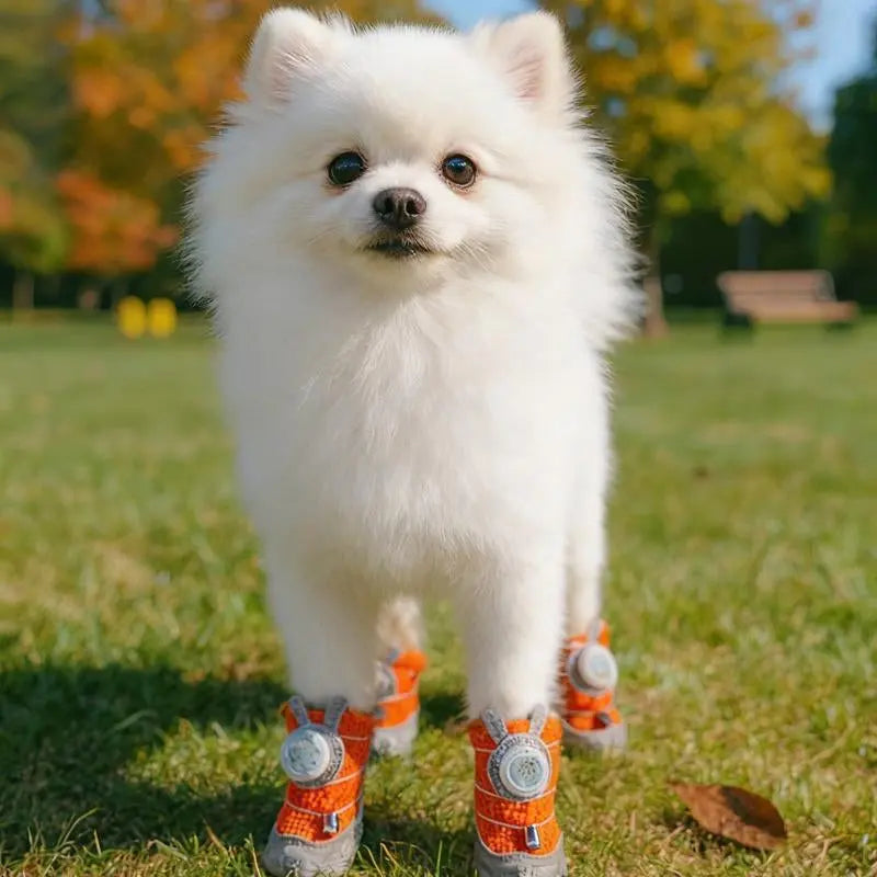 2026 New Glowing Dog Shoes (4Pcs)Light up Dog Shoes,Anti-Slip Sole Paw Protector Booties for Small Medium Dogs Hot Pavement Safety The Pet Stop