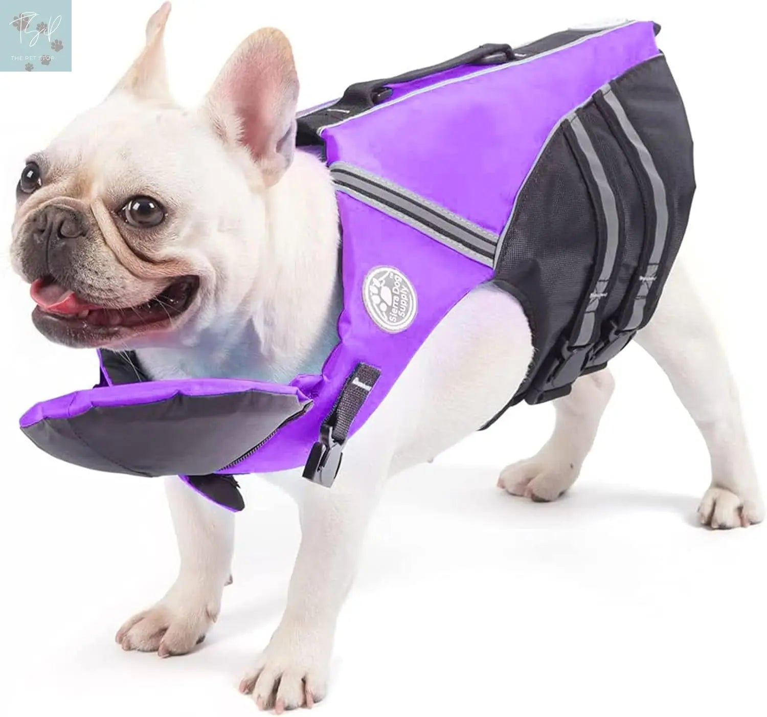French Bulldog Life Jacket with Chin Float and Rescue Handle - Adjustable High Visibility Flotation Vest for Corgis and Pugs (Green) Petglad