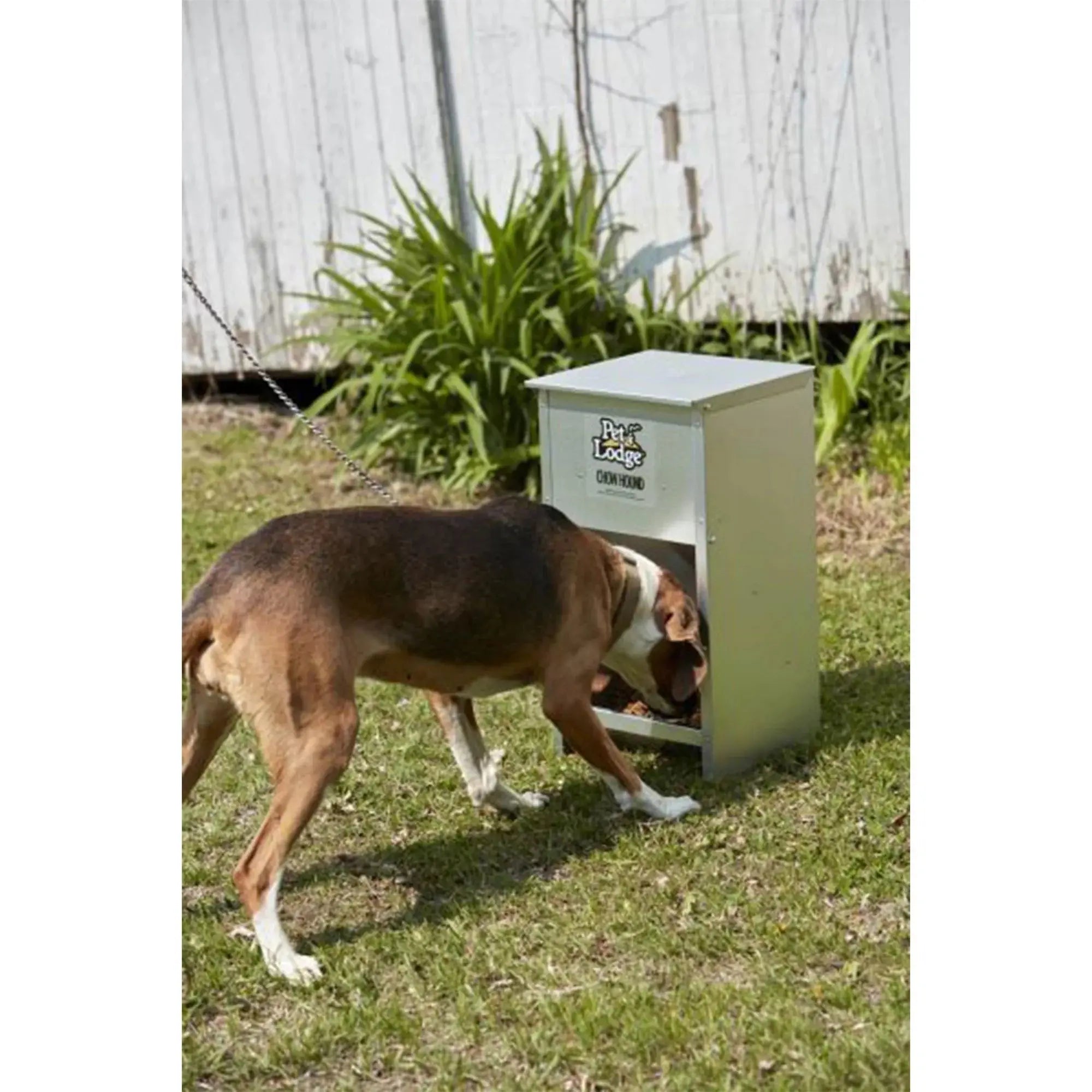 Automatic Pet Lodge Steel Dog Feeder with 25-Pound Capacity Miller Manufacturing Company