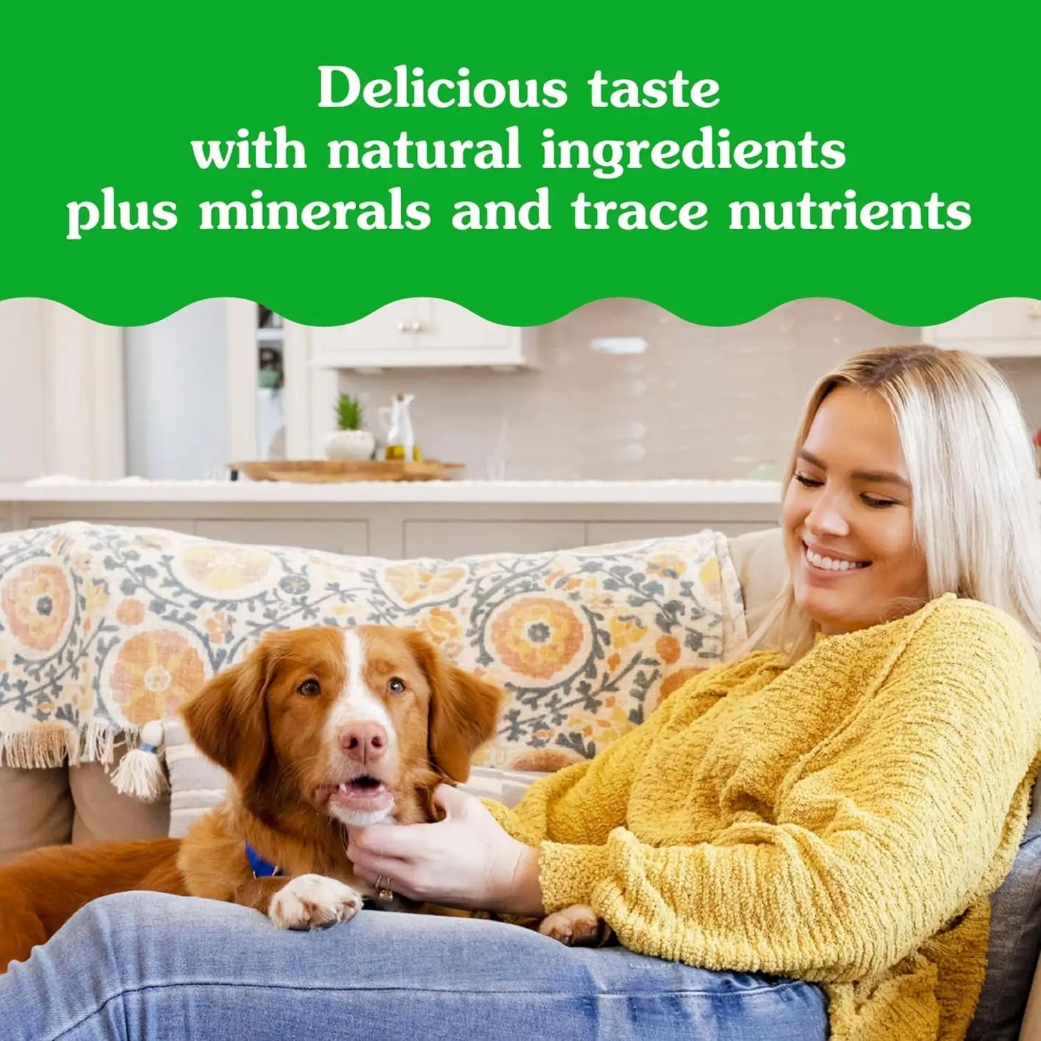 Delicious Greenies Pill Pockets for Dogs - Large Soft Treats with Real Peanut Butter (60 Treats, 15.8 oz) Mars Petcare US