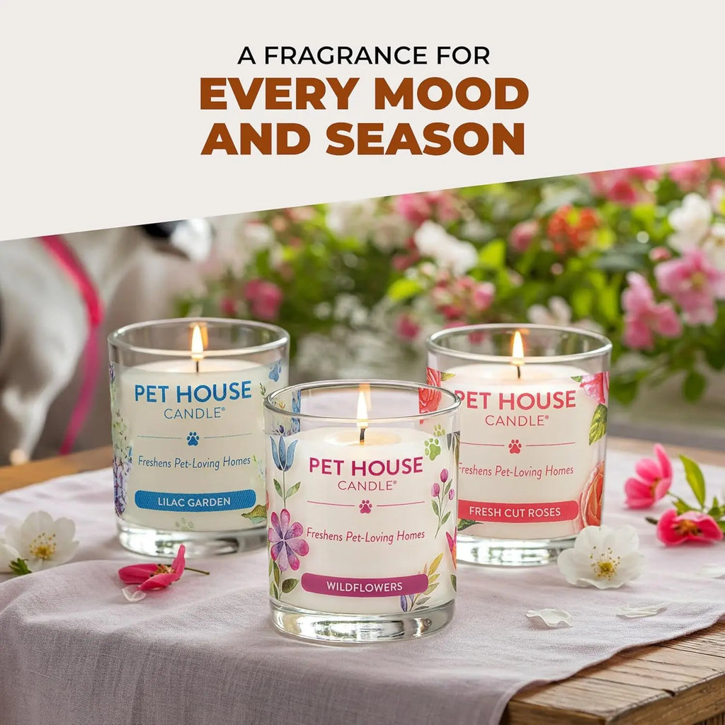 Elevate Your Home with One Fur All's Pumpkin Spice Pet House Candles - Long-Lasting, Eco-Friendly Odor Eliminators (Set of 2) One Fur All