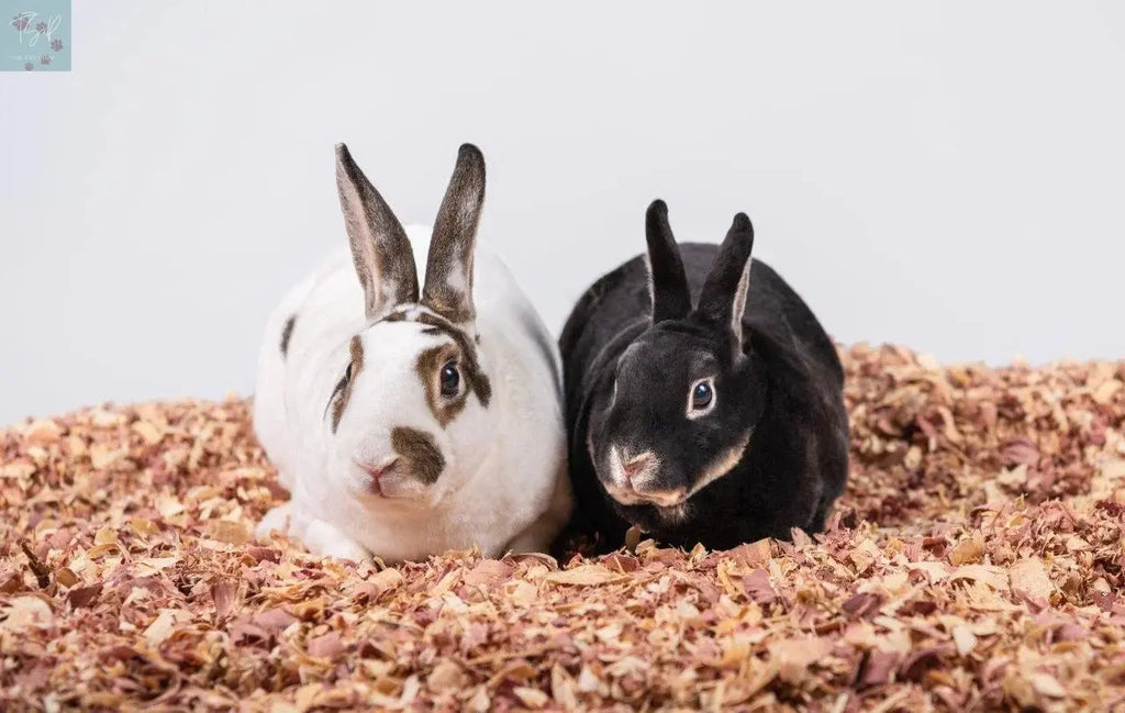 Pets Pick Red Cedar Bedding 24L Bag American Wood Fibers