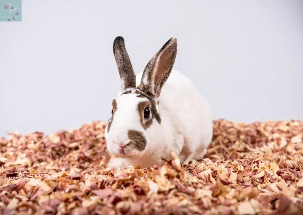 Pets Pick Red Cedar Bedding 24L Bag American Wood Fibers