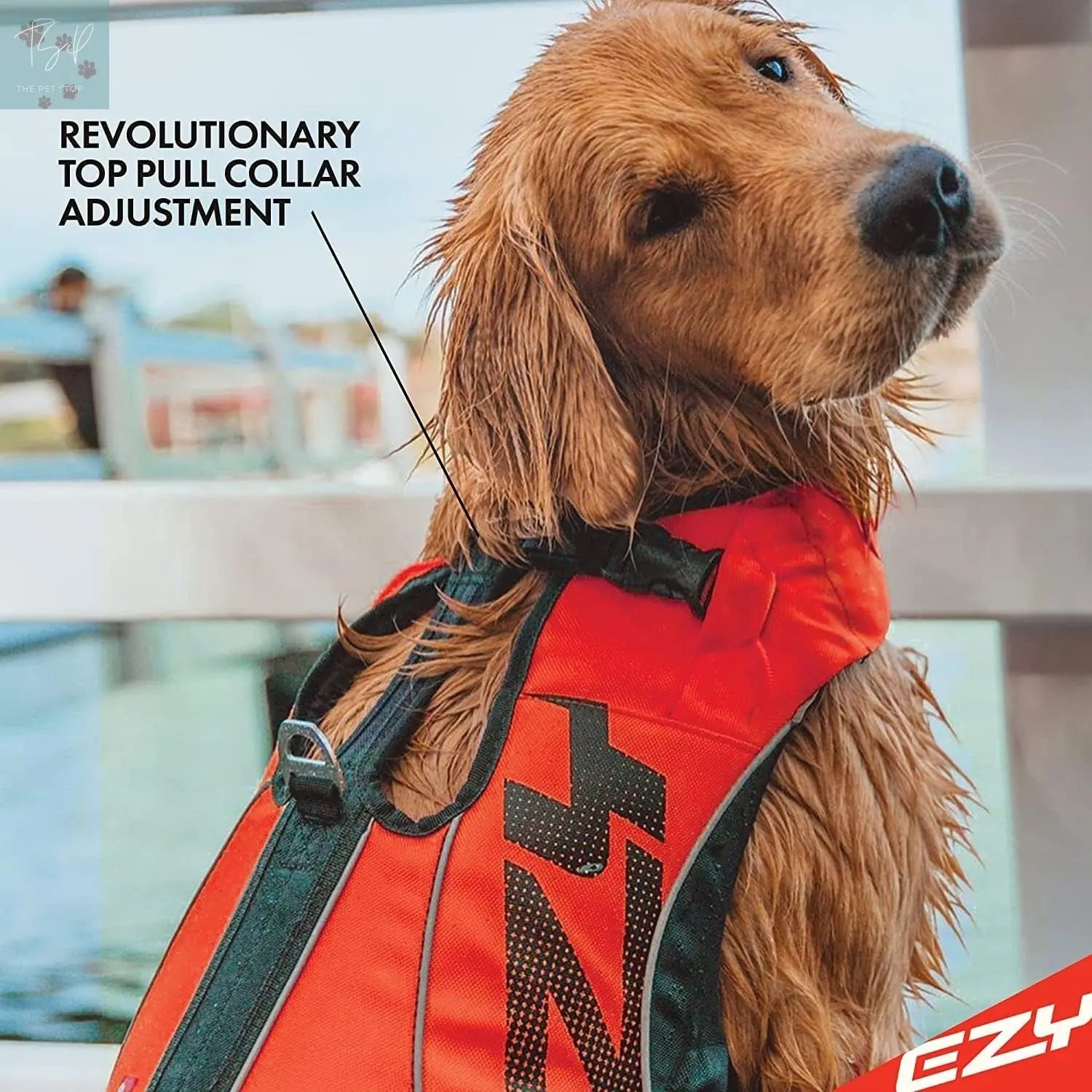 Ezydog DFD X2 Adjustable Dog Life Jacket - Enhanced Swimming Safety Vest with Continuous Neck Flotation, Reflective Trim, and Grab Handle (Medium, Red) EzyDog