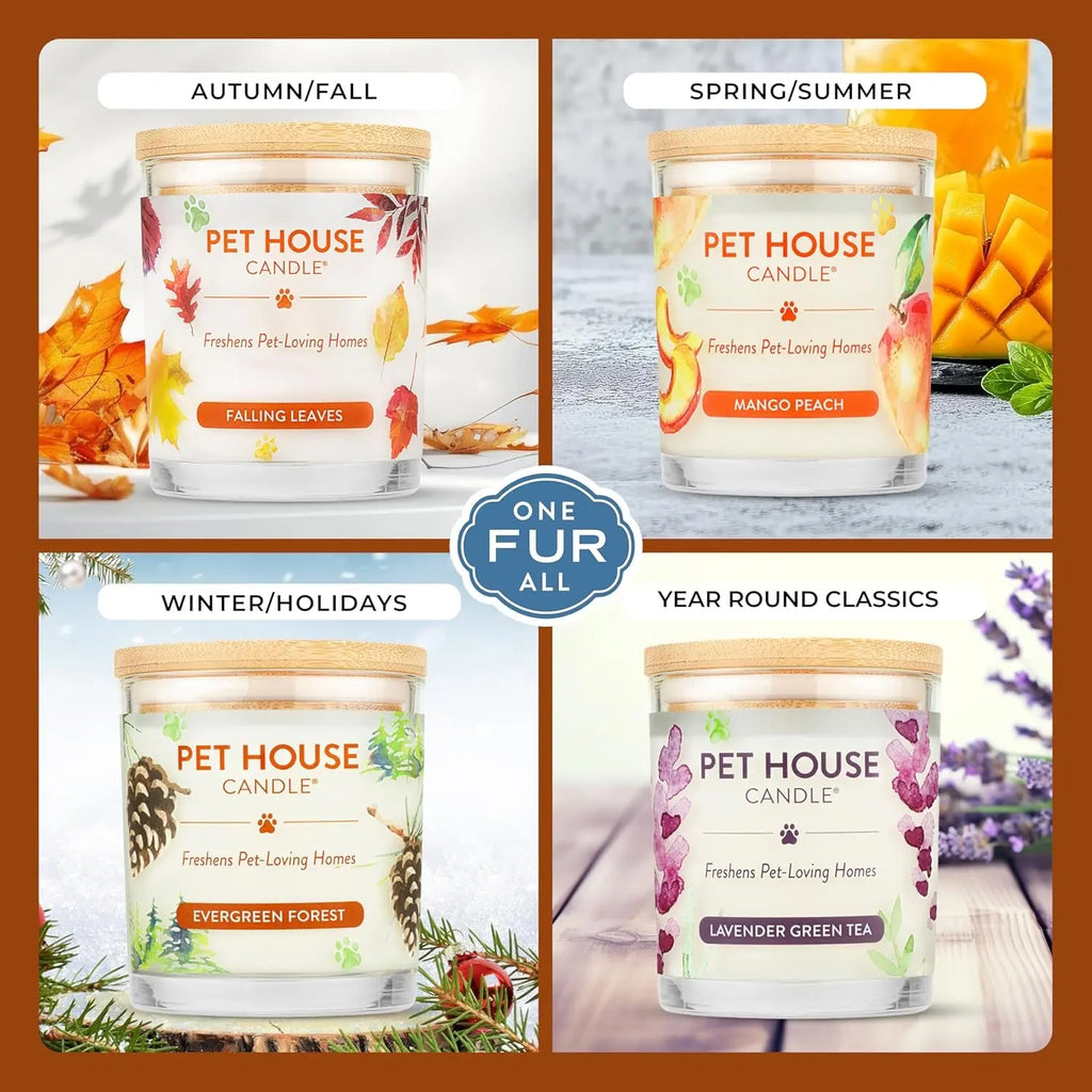 Elevate Your Home with One Fur All's Pumpkin Spice Pet House Candles - Long-Lasting, Eco-Friendly Odor Eliminators (Set of 2) One Fur All