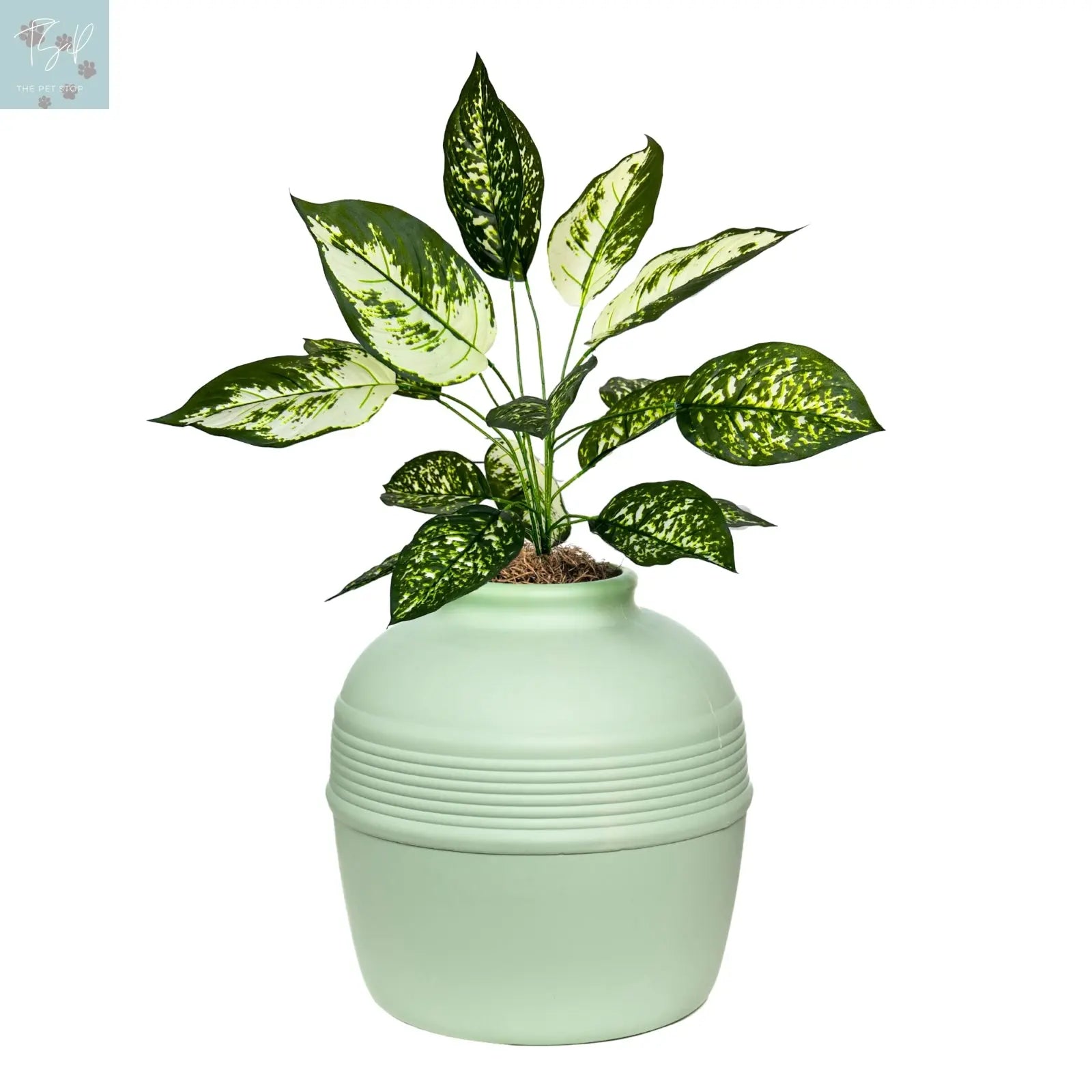 Discreet Litter Box Planter with Hooded Design and Artificial Plant for Pets Does not apply