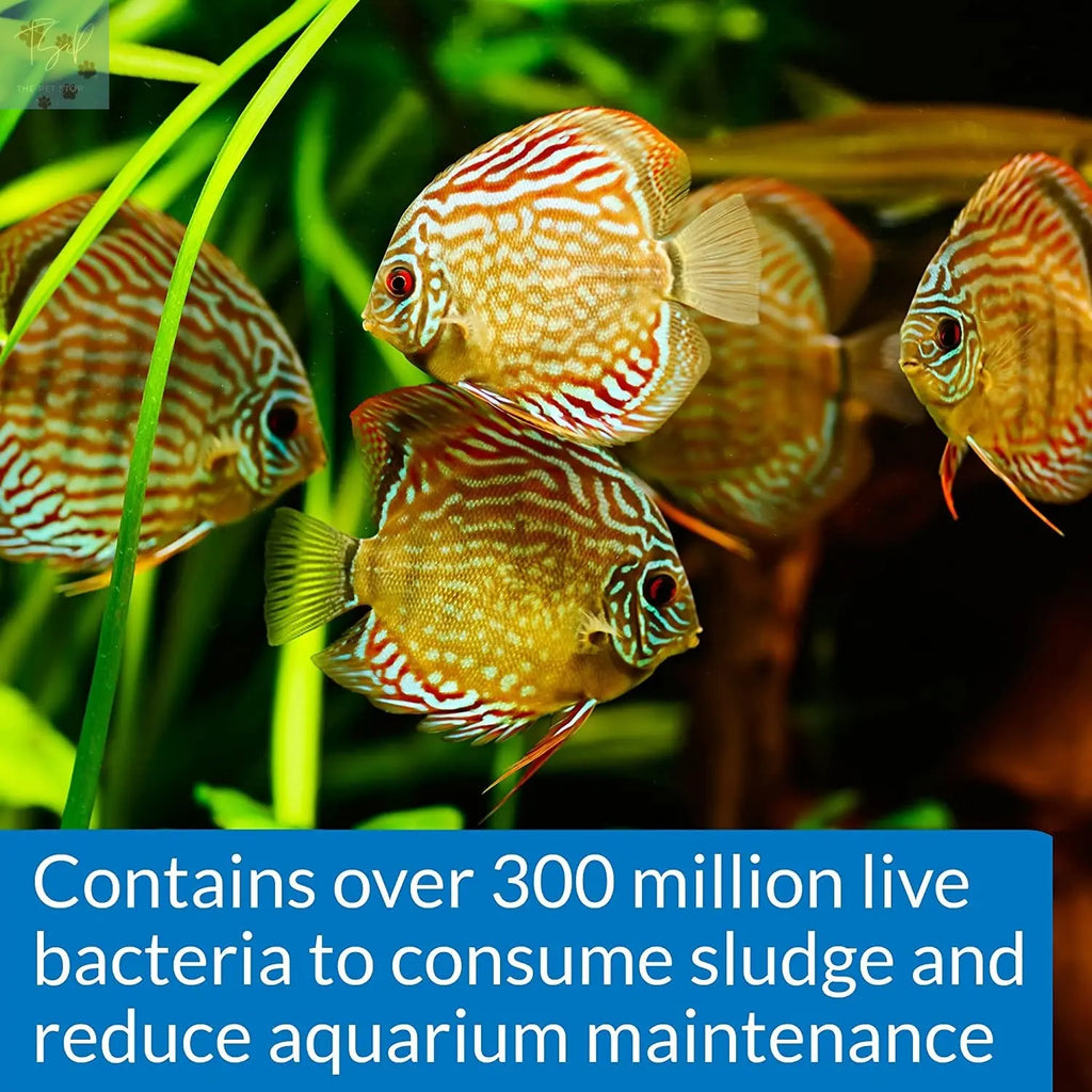 API Stress Zyme Aquarium Cleaning Solution for Freshwater and Saltwater - 1 Gallon Mars Fishcare