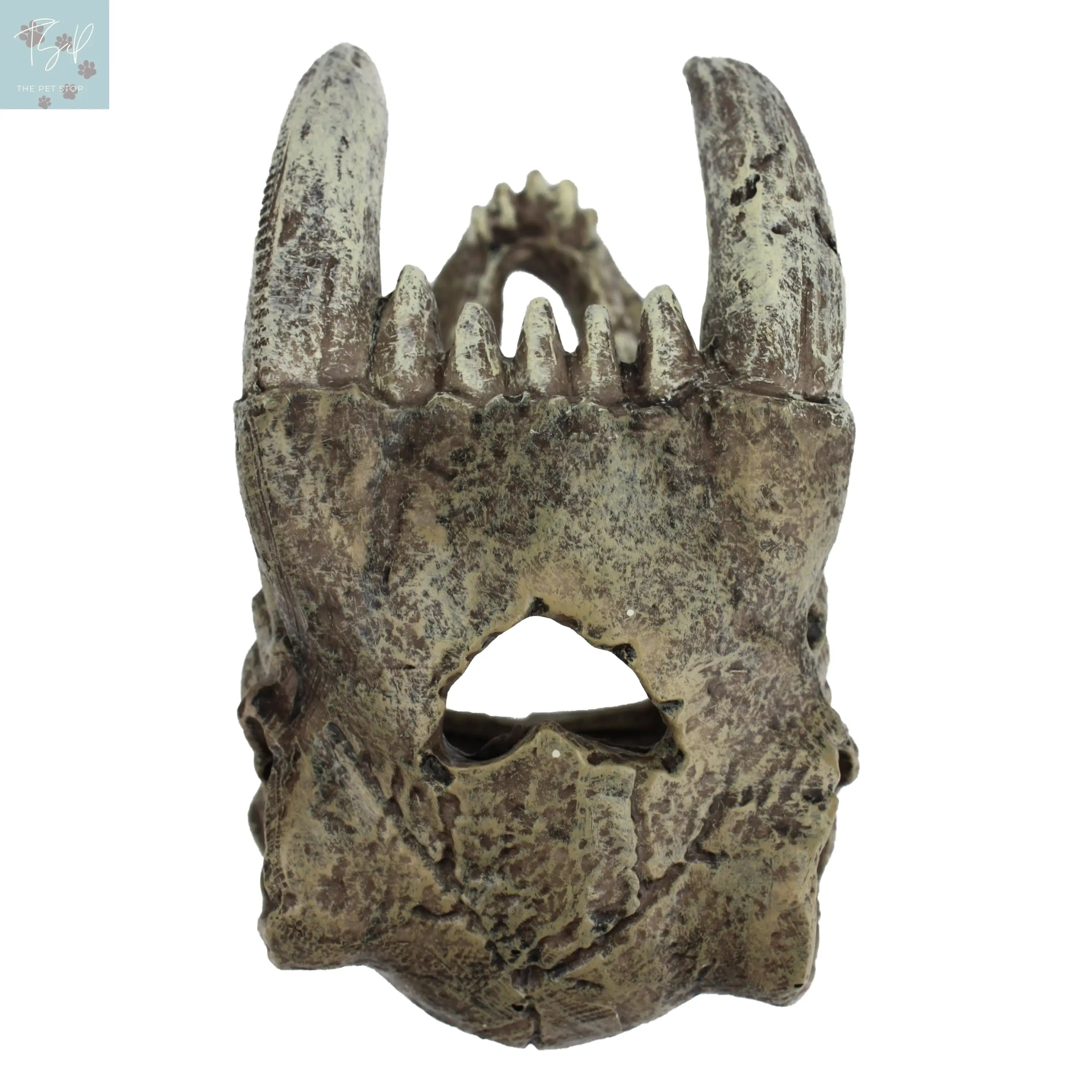 Komodo Saber Tooth Skull Decor for Aquarium or Reptile Tank, Polyresin, Aquarium Decor, Bone Color Multipet International, Inc.