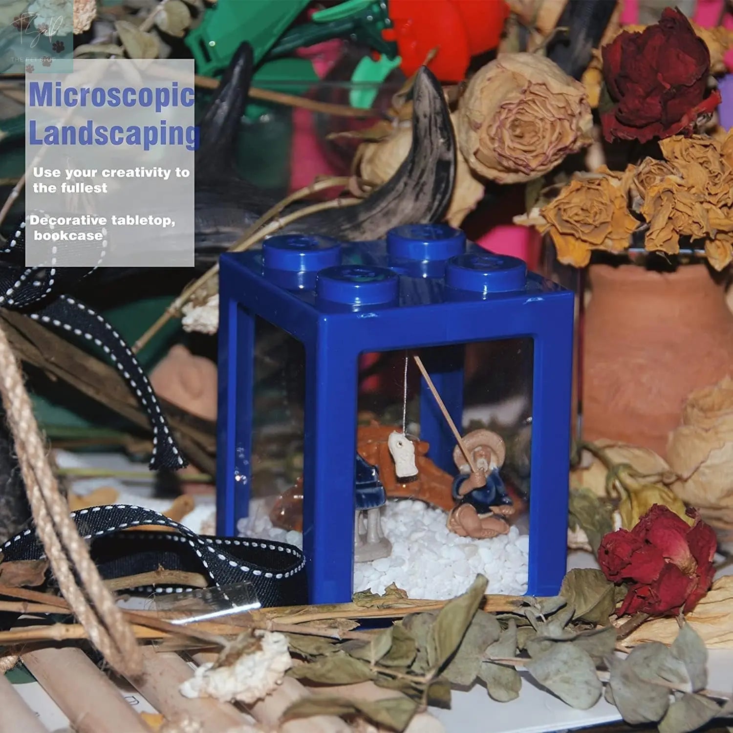 Compact Stackable Cube Fish Tank for Betta Fish with Decorative Elements and Ant Feeding Case (Blue) Finding Laurel