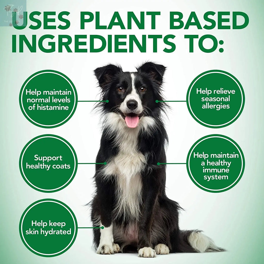 Vet's Best Healthy Coat Shed and Itch Relief for Dogs - 150 Chewable Tablets for Skin Irritation and Shedding Management Due to Seasonal Allergies or Dermatitis Vet's Best