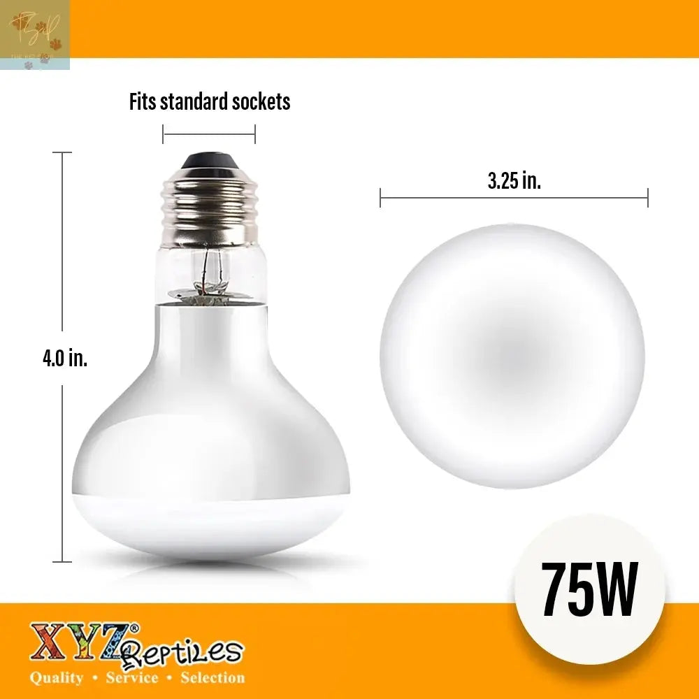 Reptile Heat Lamp Bulb 75 Watt XYZReptiles