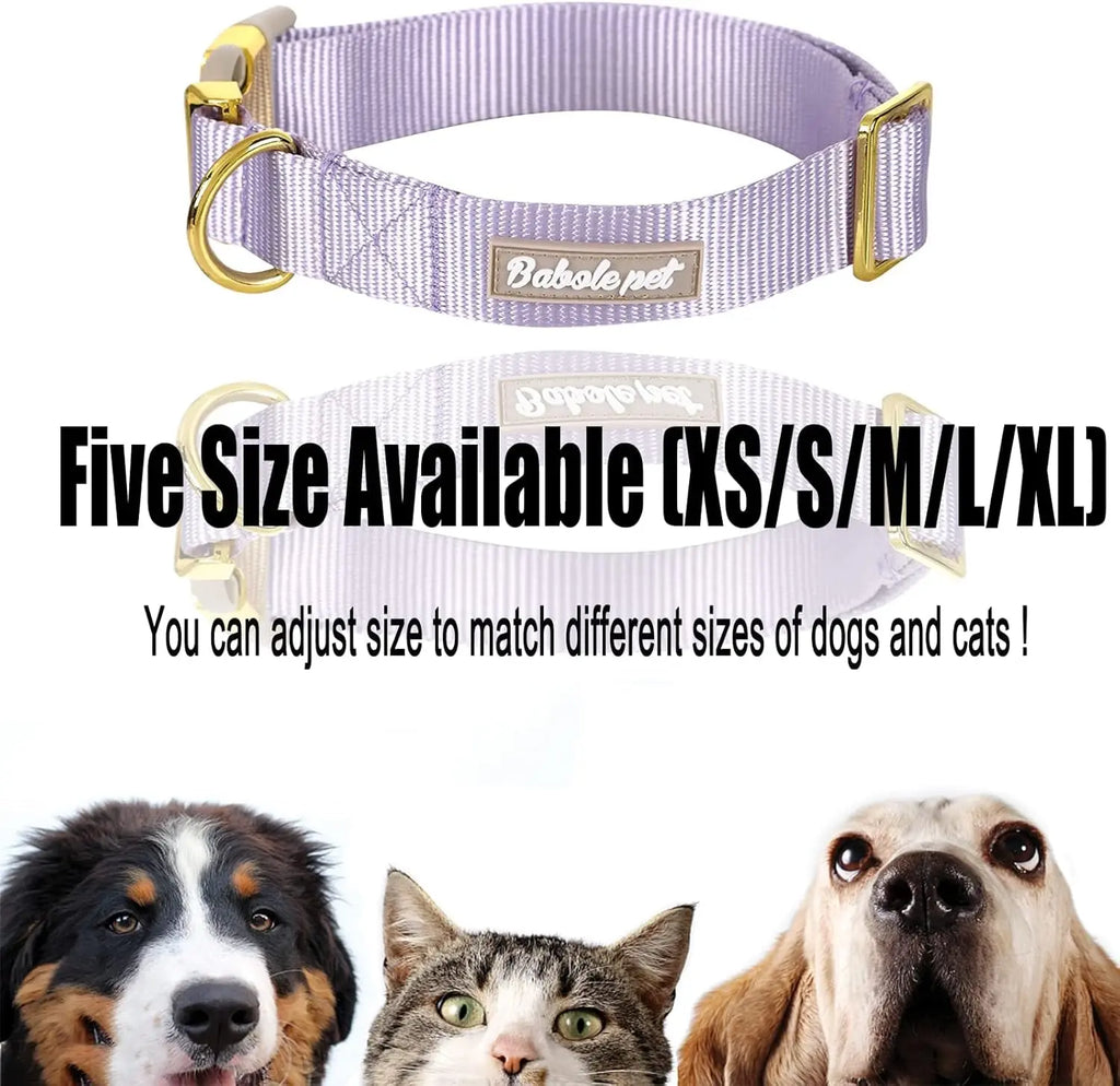 Adjustable Lavender Nylon Dog Collar with Safety Metal Buckle for Small to Large Dogs Babole Pet