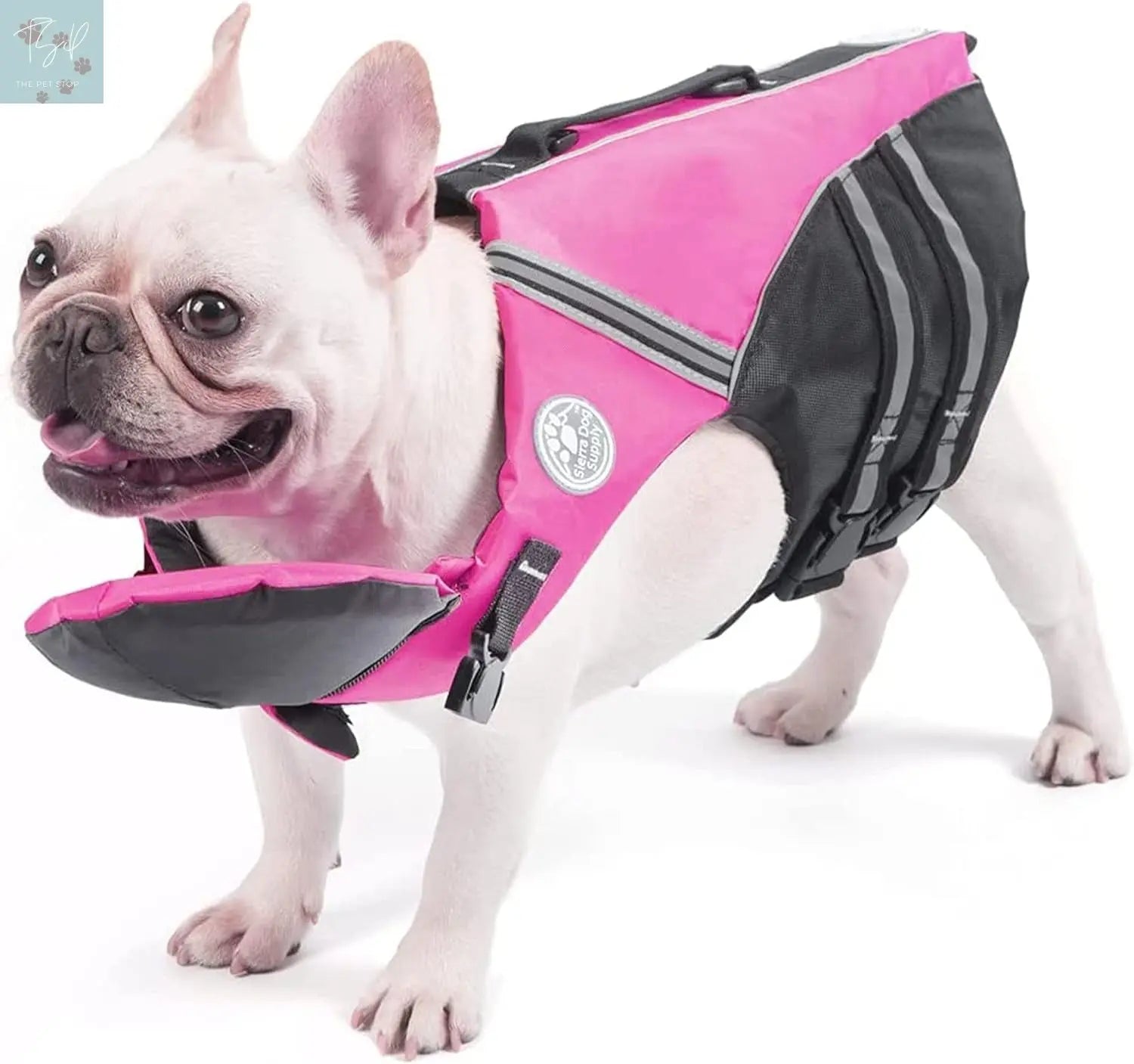 French Bulldog Life Jacket with Chin Float and Rescue Handle - Adjustable High Visibility Flotation Vest for Corgis and Pugs (Green) Petglad