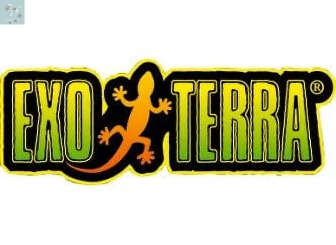 Exo Terra Reptile Cave Medium Hagen