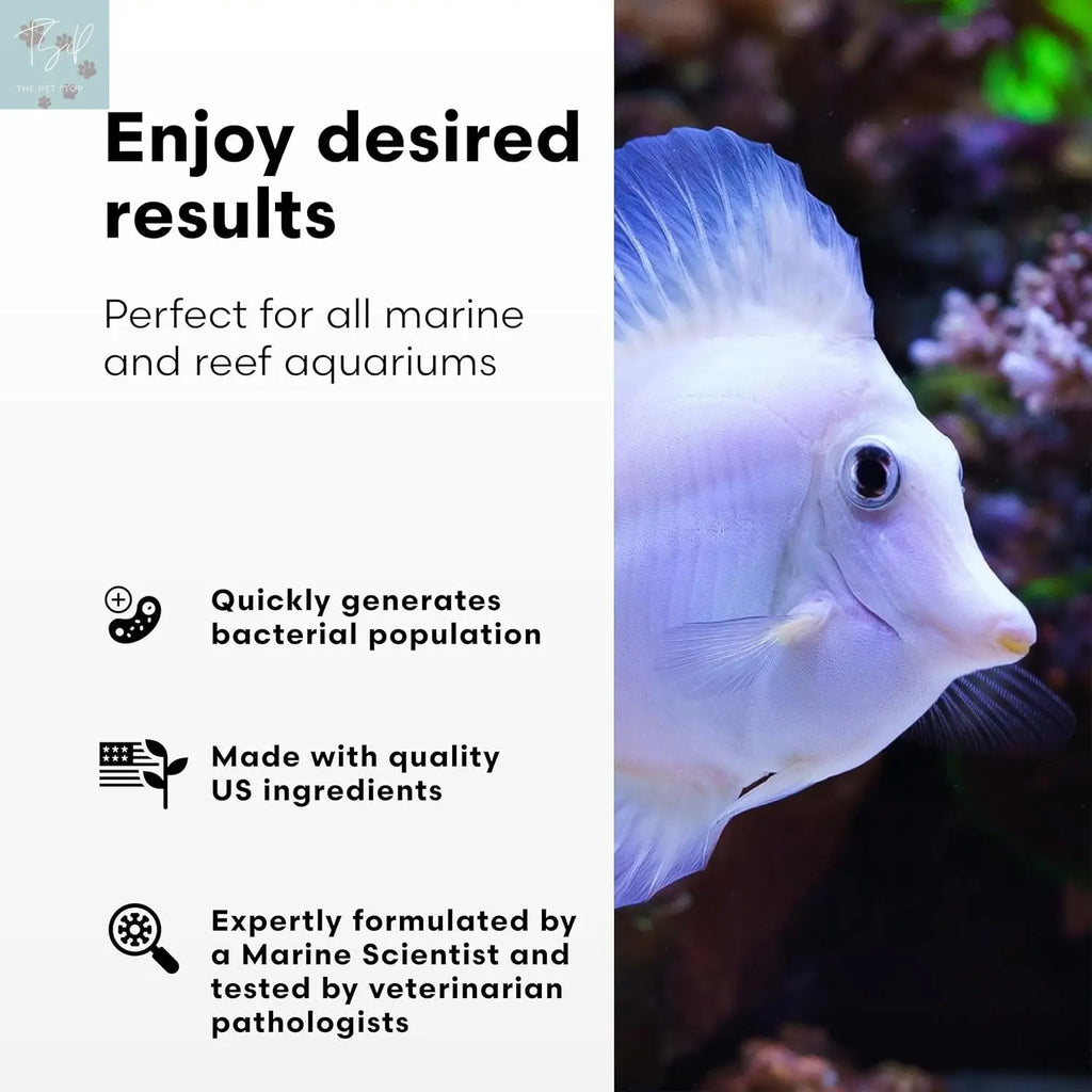 Continuum Aquatics Bactergen M – Marine Nitrifying Bacteria and Waste Reducer for Clear Water and Reduced Ammonia, Nitrites, and Phosphates – Safe for Reef and Fish – 250 mL TopDawg Pet Supply