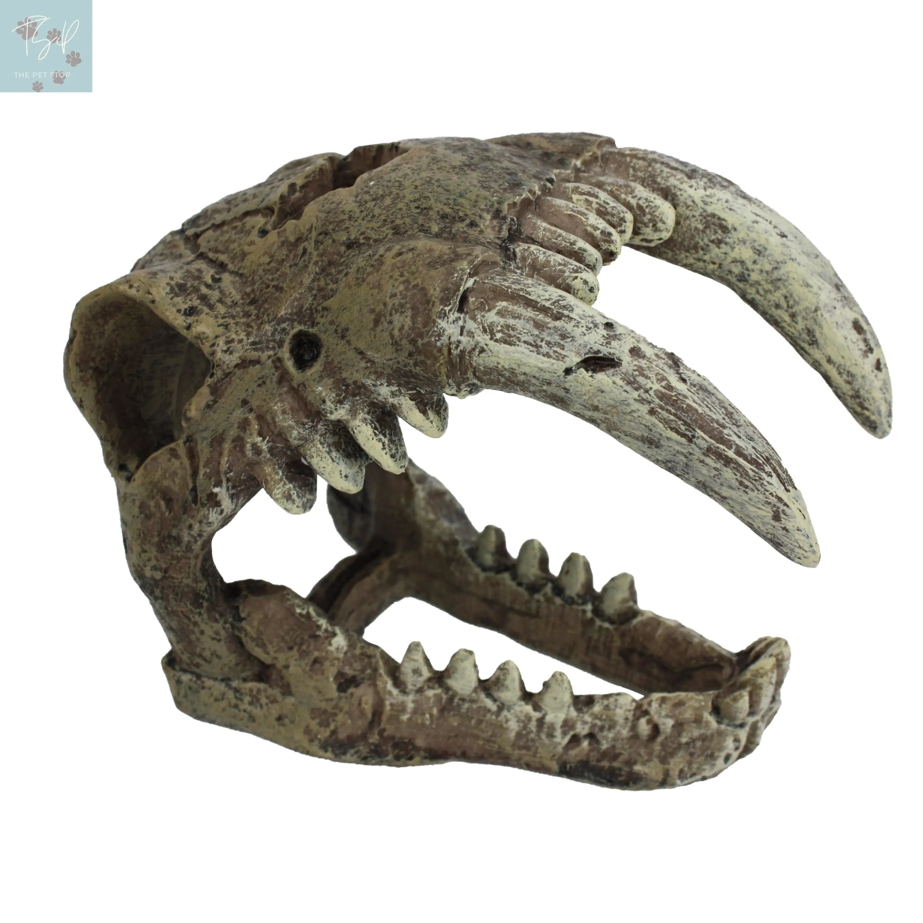 Komodo Saber Tooth Skull Decor for Aquarium or Reptile Tank, Polyresin, Aquarium Decor, Bone Color Multipet International, Inc.