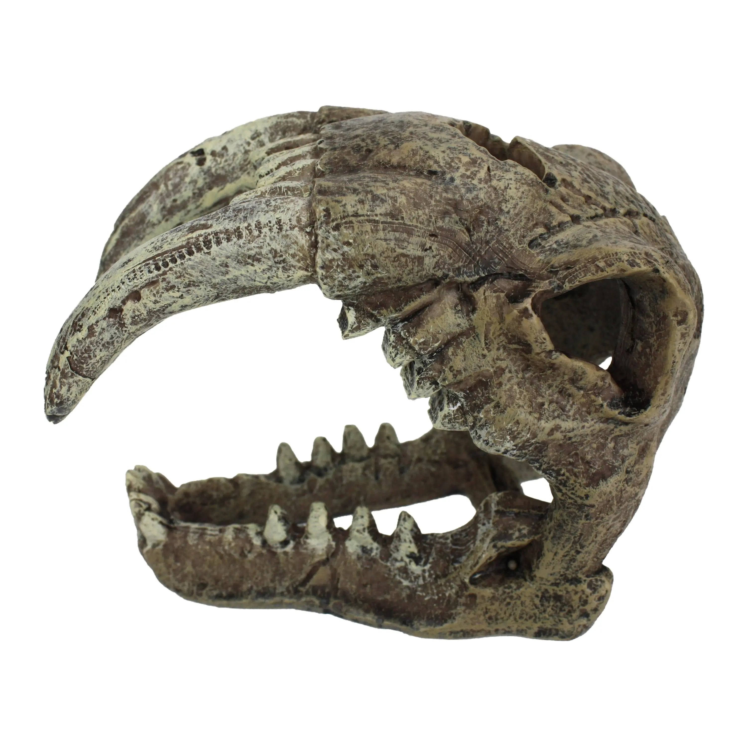 Komodo Saber Tooth Skull Decor for Aquarium or Reptile Tank, Polyresin, Aquarium Decor, Bone Color Multipet International, Inc.