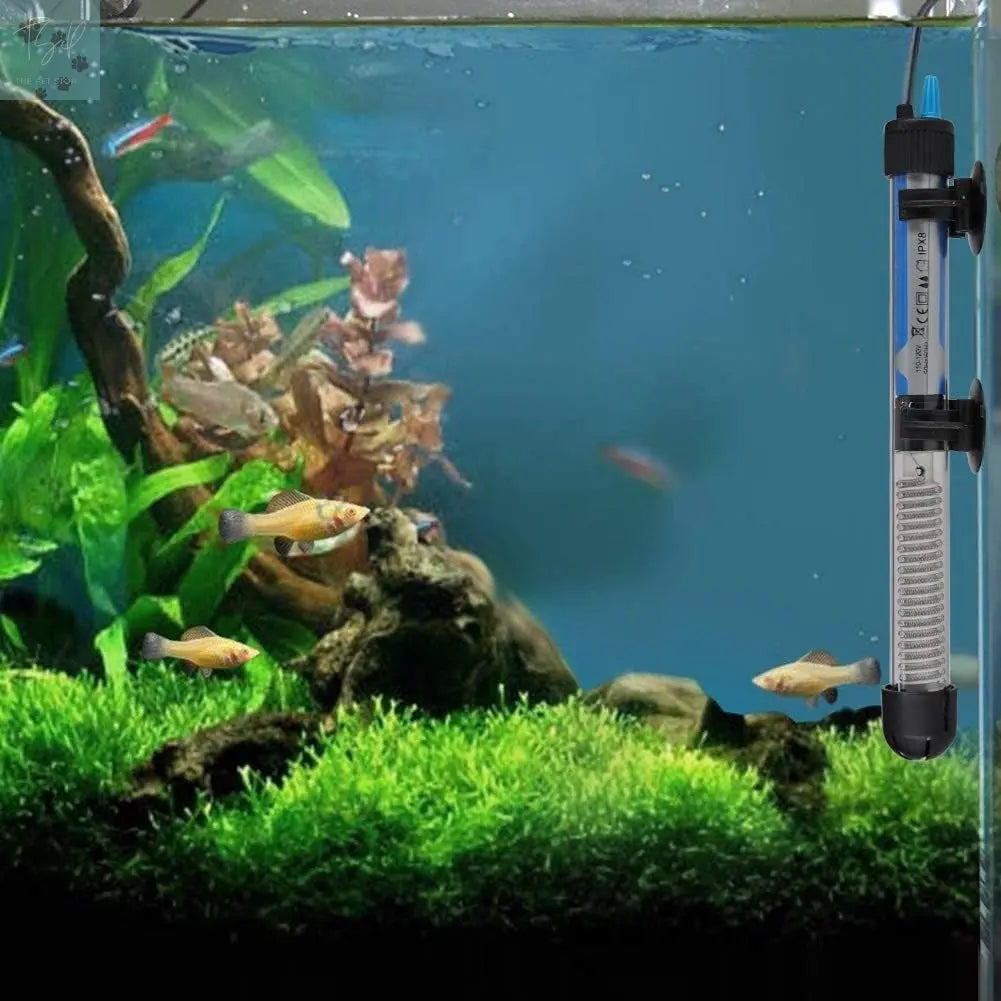 Mylivell 200W Adjustable Submersible Aquarium Heater for 40-65 Gallon Fish Tanks, Ideal for Betta, Turtle, Saltwater, and Freshwater Environments Mylivell