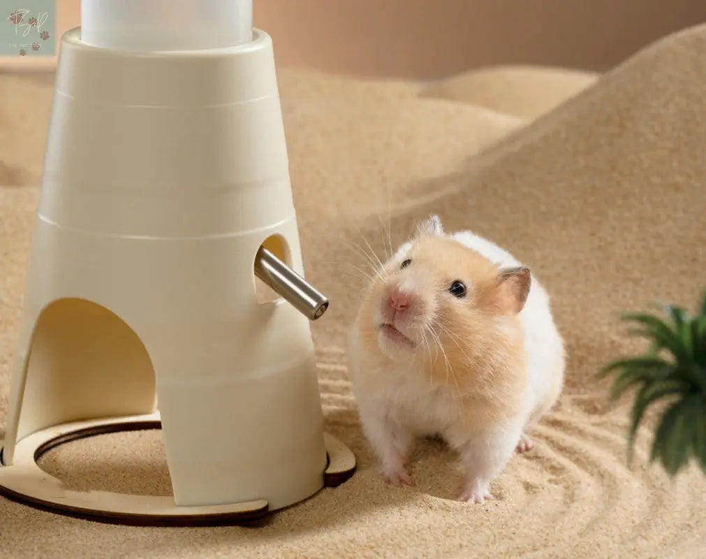 Hamster Water Bottle Drinker Automatic Feeder The Pet Stop