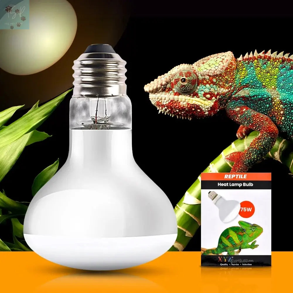 Reptile Heat Lamp Bulb 75 Watt XYZReptiles