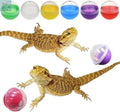 Vehomy 6Pcs Lizard Bearded Dragon Feeding Toys Ball Vehomy
