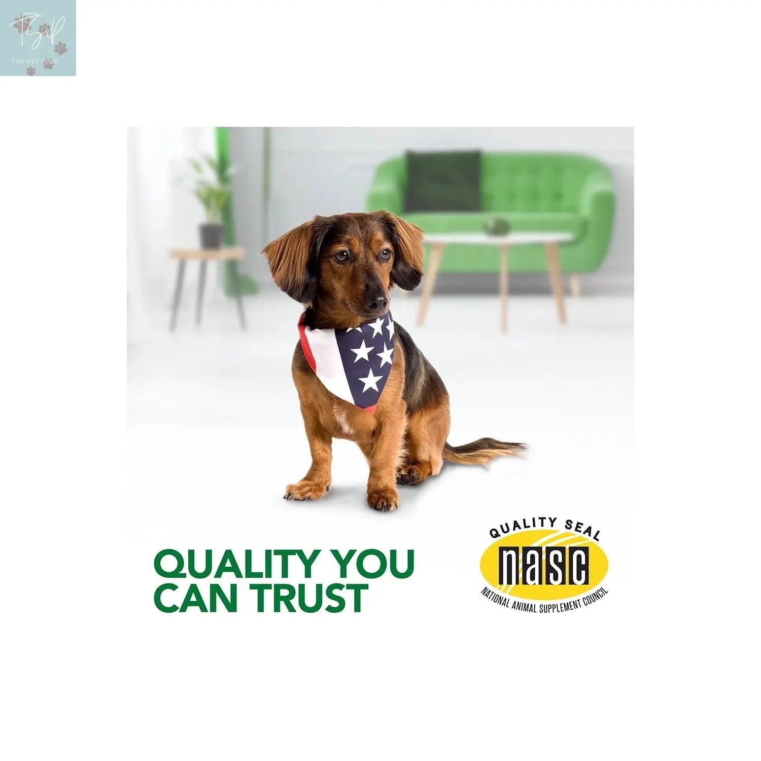 Vet’s Best Hip and Joint Support Supplement for Dogs - 50 Chewable Tablets Vet's Best