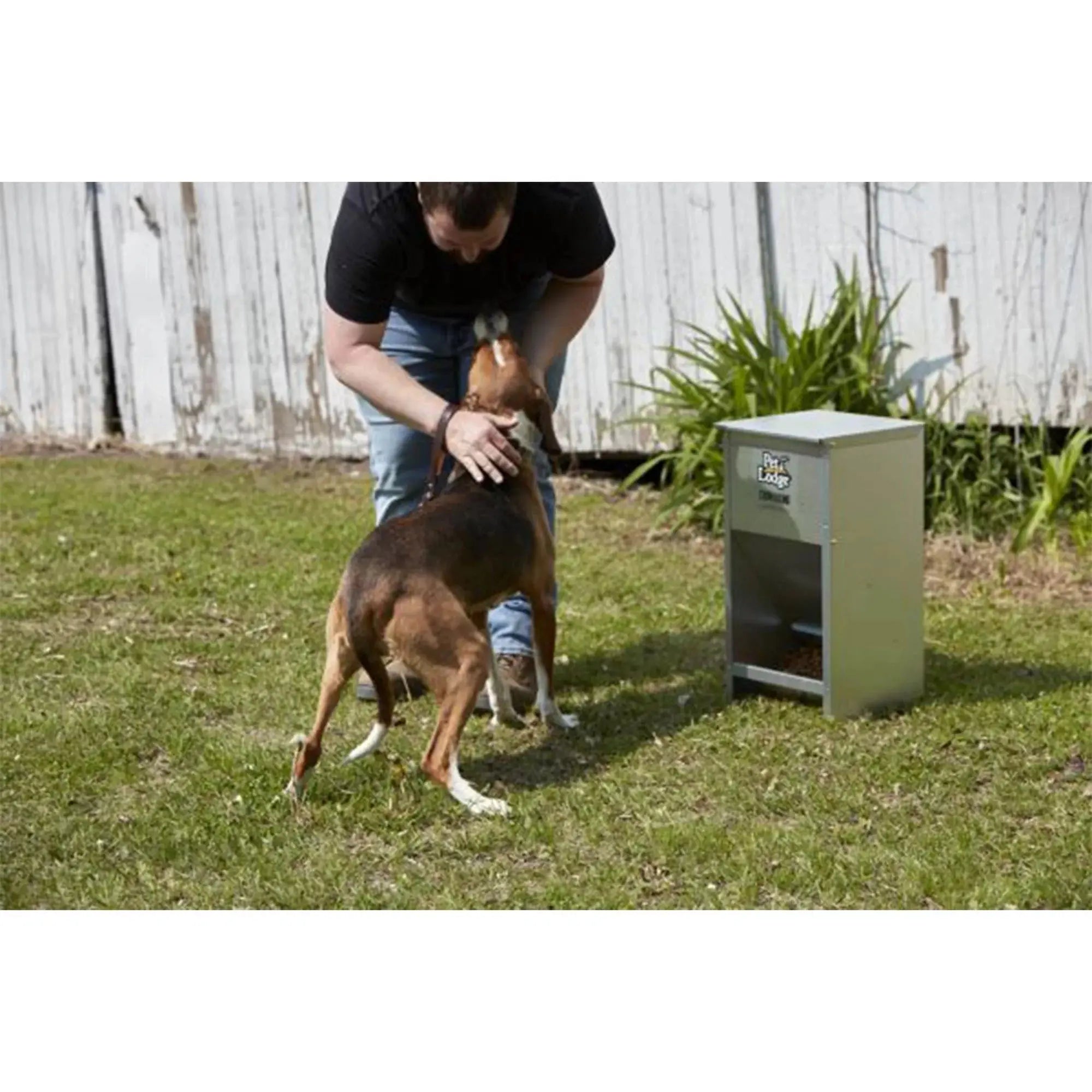 Automatic Pet Lodge Steel Dog Feeder with 25-Pound Capacity Miller Manufacturing Company