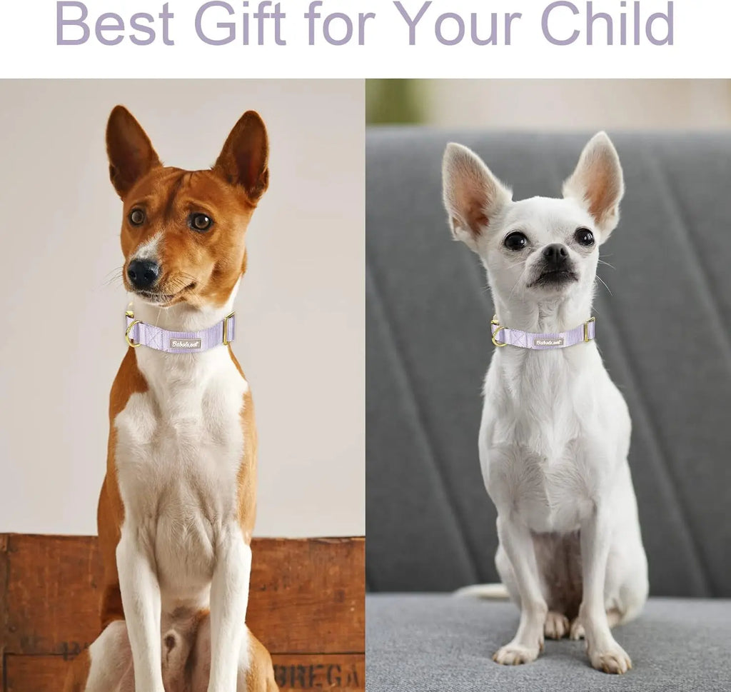 Adjustable Lavender Nylon Dog Collar with Safety Metal Buckle for Small to Large Dogs Babole Pet