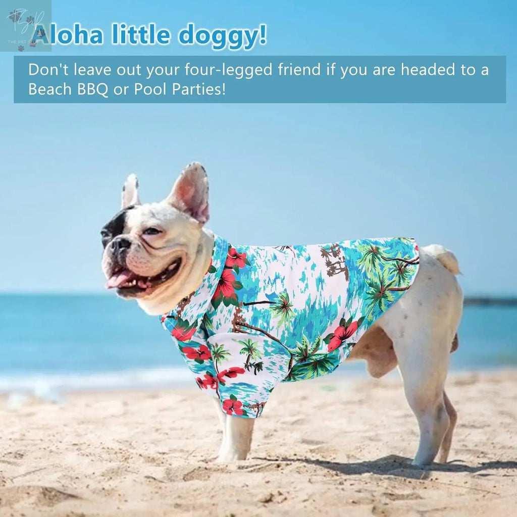 KOESON Tropical Palm Trees Dog Shirt - Casual Button-Down Summer Outfit for Small Dogs and Cats, Blue 2XL KOESON