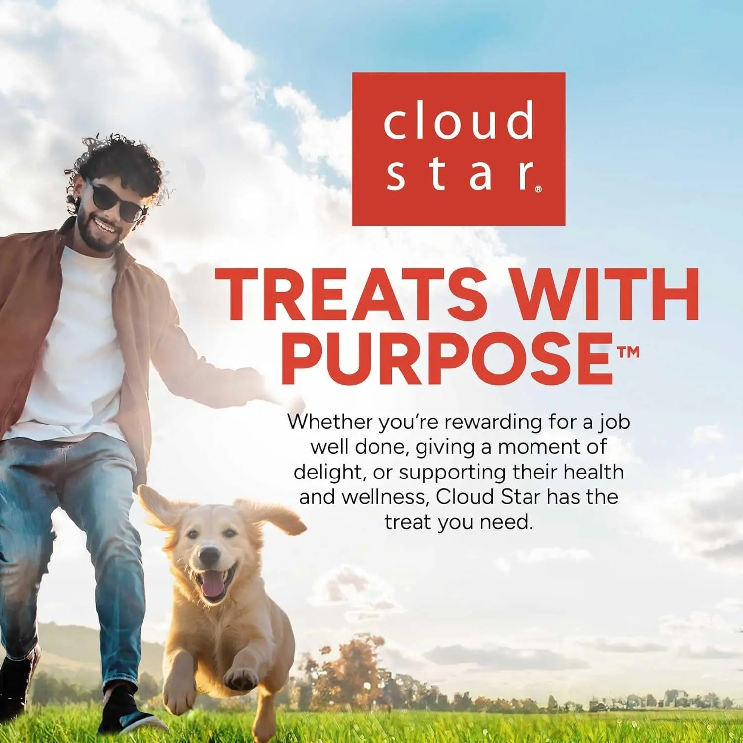 Deliciously Soft & Chewy Training Treats for Dogs - Pet Botanics 10 oz. Mini Chicken Flavor Rewards, Perfect for All Breeds! Pet Botanics