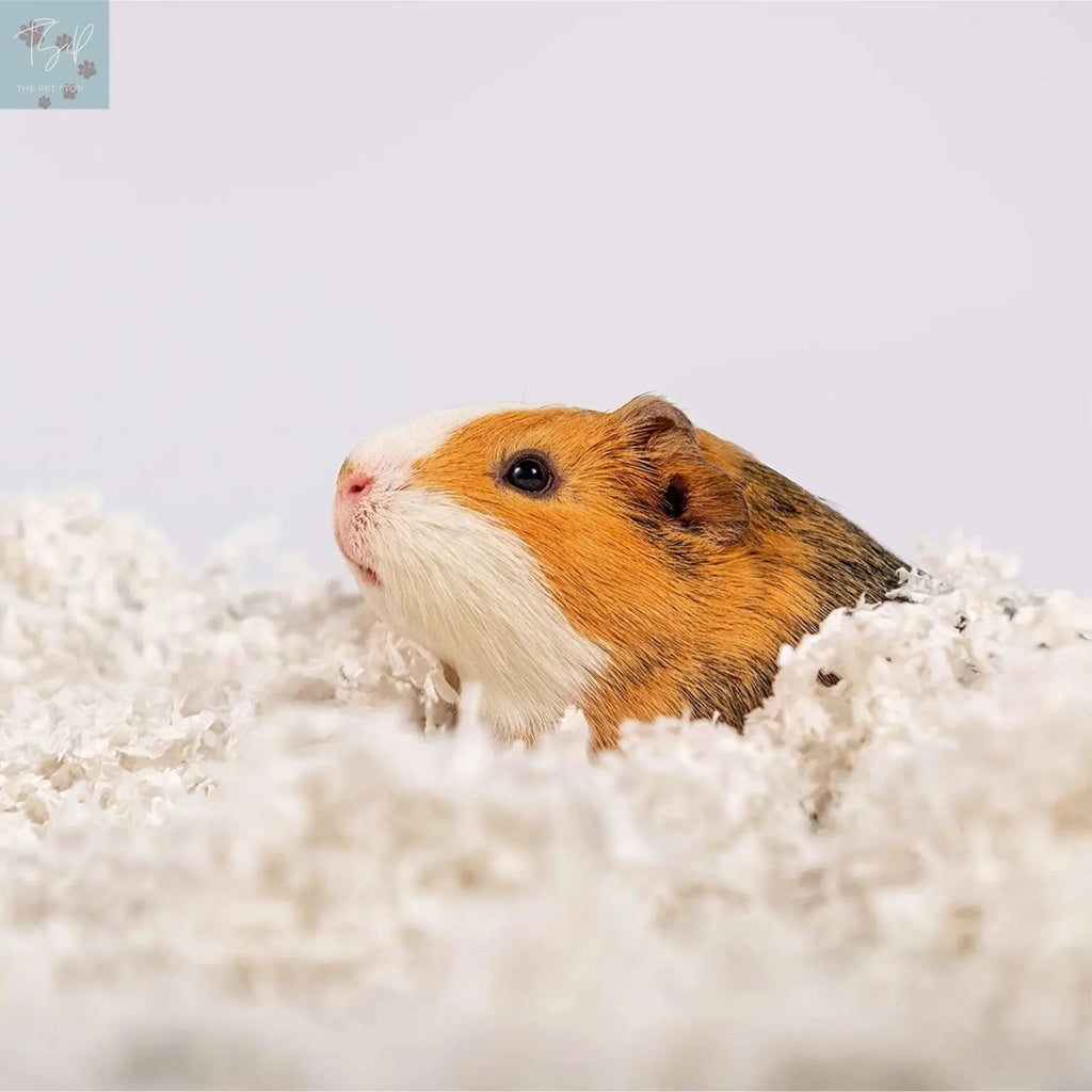 (4 Pack) Pets Pick 36L White Uber Pet Bedding, Hamster, Rabbit, Rat American Wood Fibers