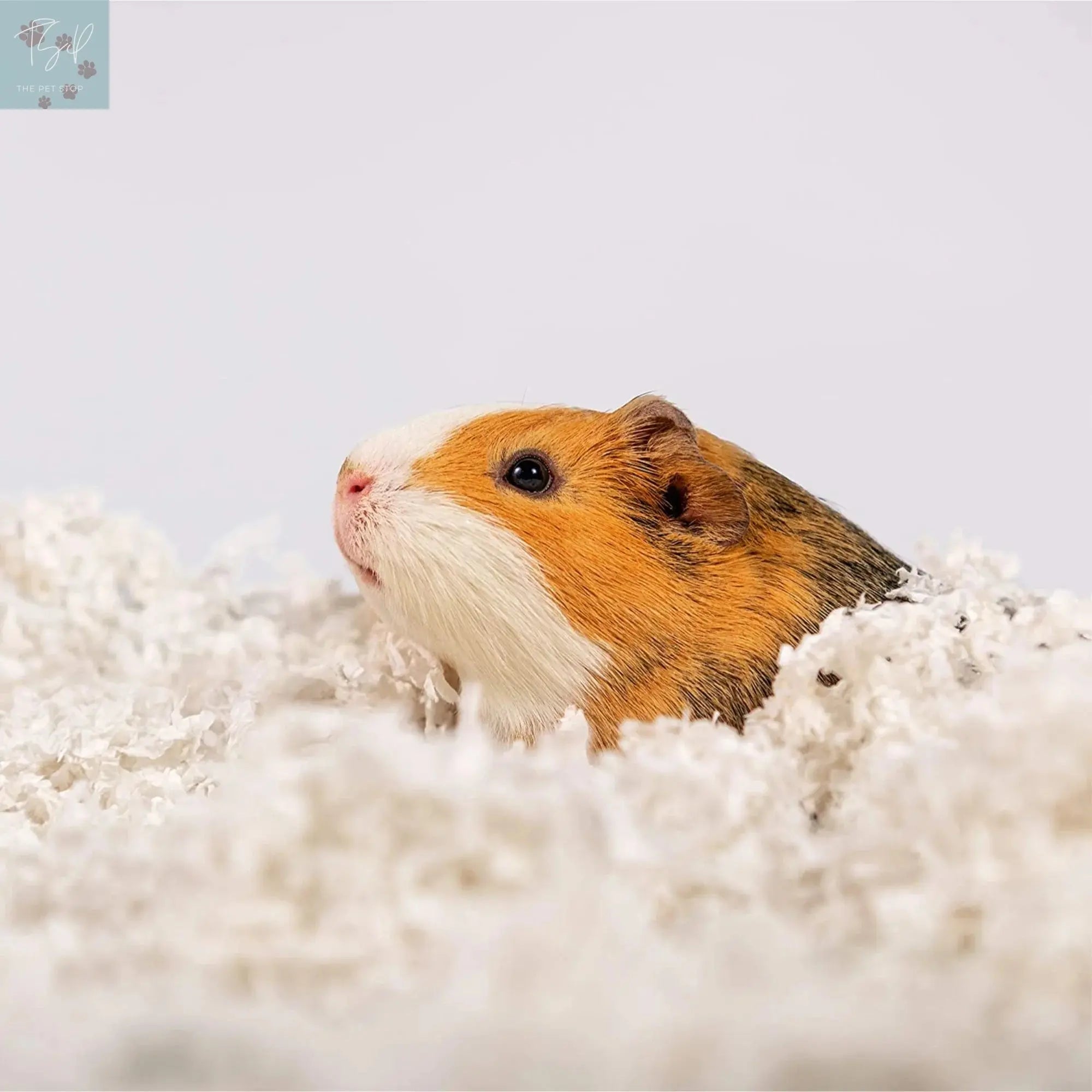 (4 Pack) Pets Pick 36L White Uber Pet Bedding, Hamster, Rabbit, Rat American Wood Fibers