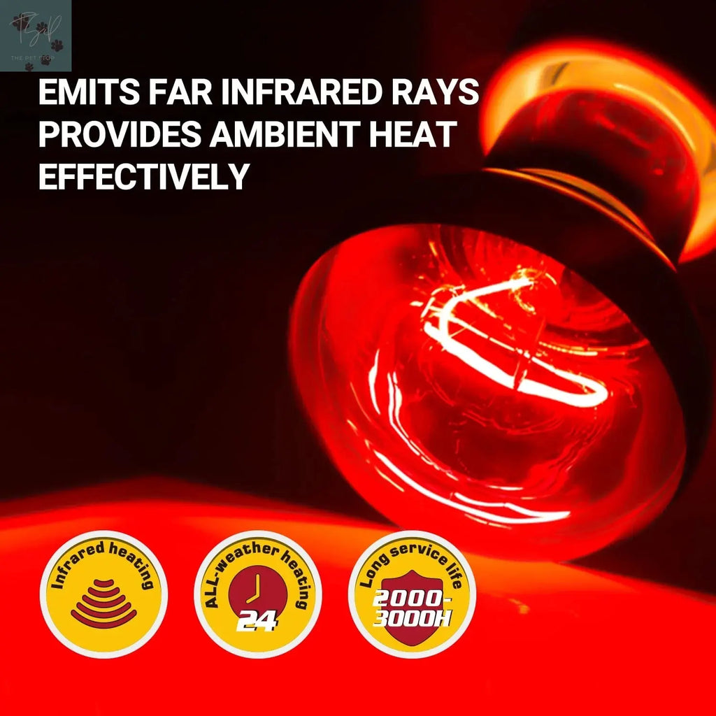 ECOSUB Reptile Heat Lamp 100W, 2Pcs E26 Basking Spot Light, Infrared Heat Lamp, Red bearded dragon tank accessories