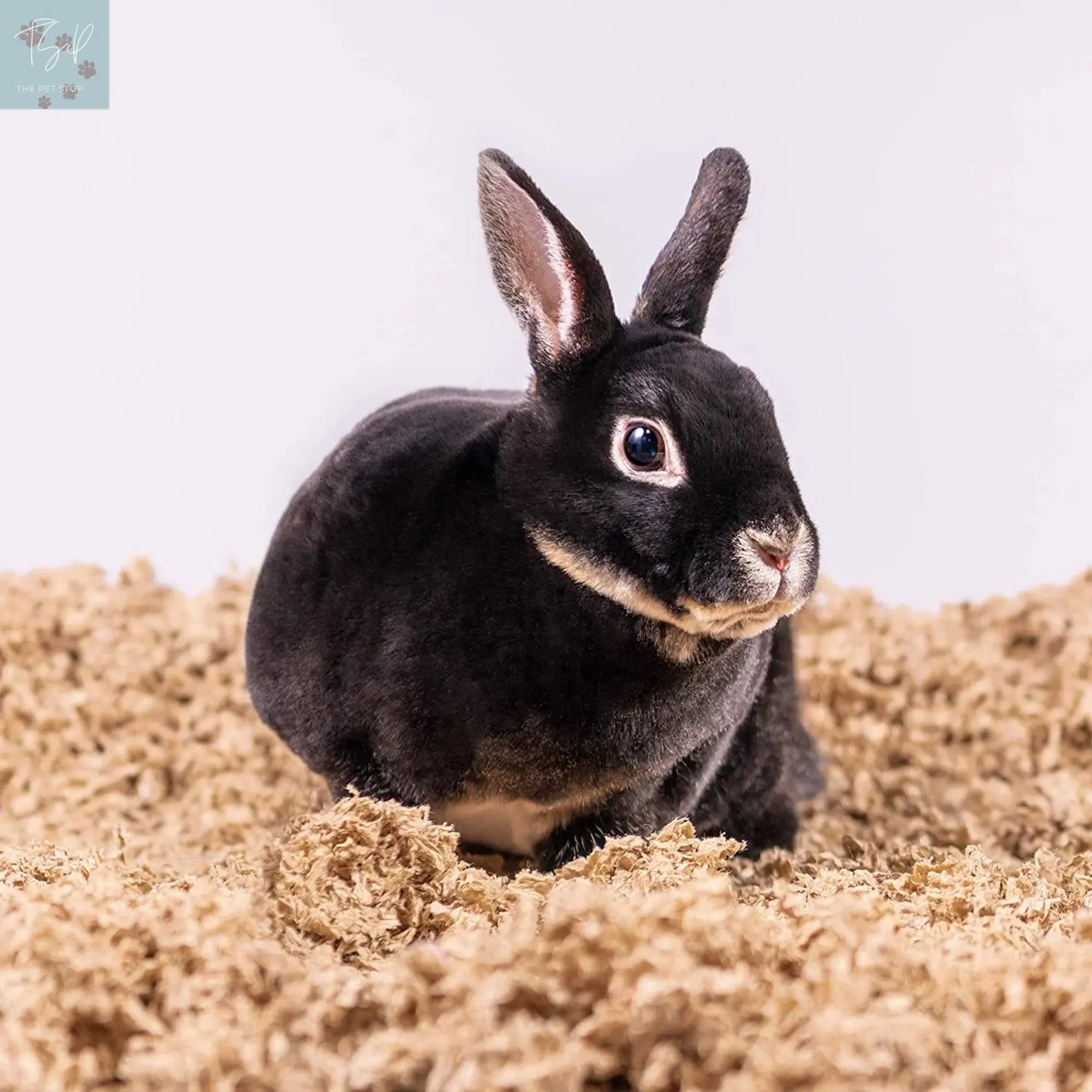 (4 Pack) Pets Pick 28L Natural Uber Pet Bedding for Small Animals American Wood Fibers