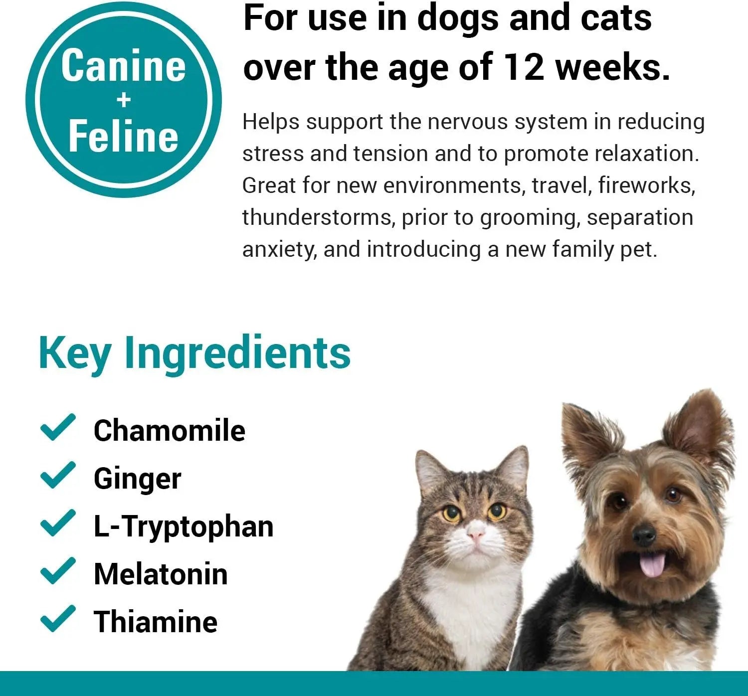 Vet Classics Stress Away Calming Supplement for Dogs and Cats – Soft Chews with Melatonin and Ginger – 65 Count Vet Classics