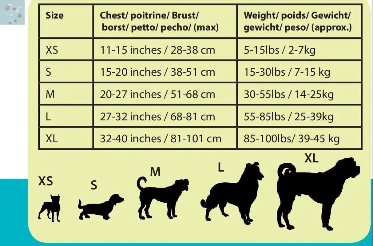 Canine Life Jacket - Swimming Vest for Dogs, Medium Size Floatation Aid Boglia