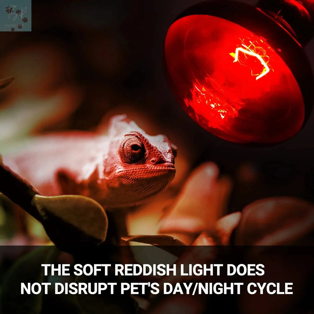 ECOSUB Reptile Heat Lamp 100W, 2Pcs E26 Basking Spot Light, Infrared Heat Lamp, Red bearded dragon tank accessories