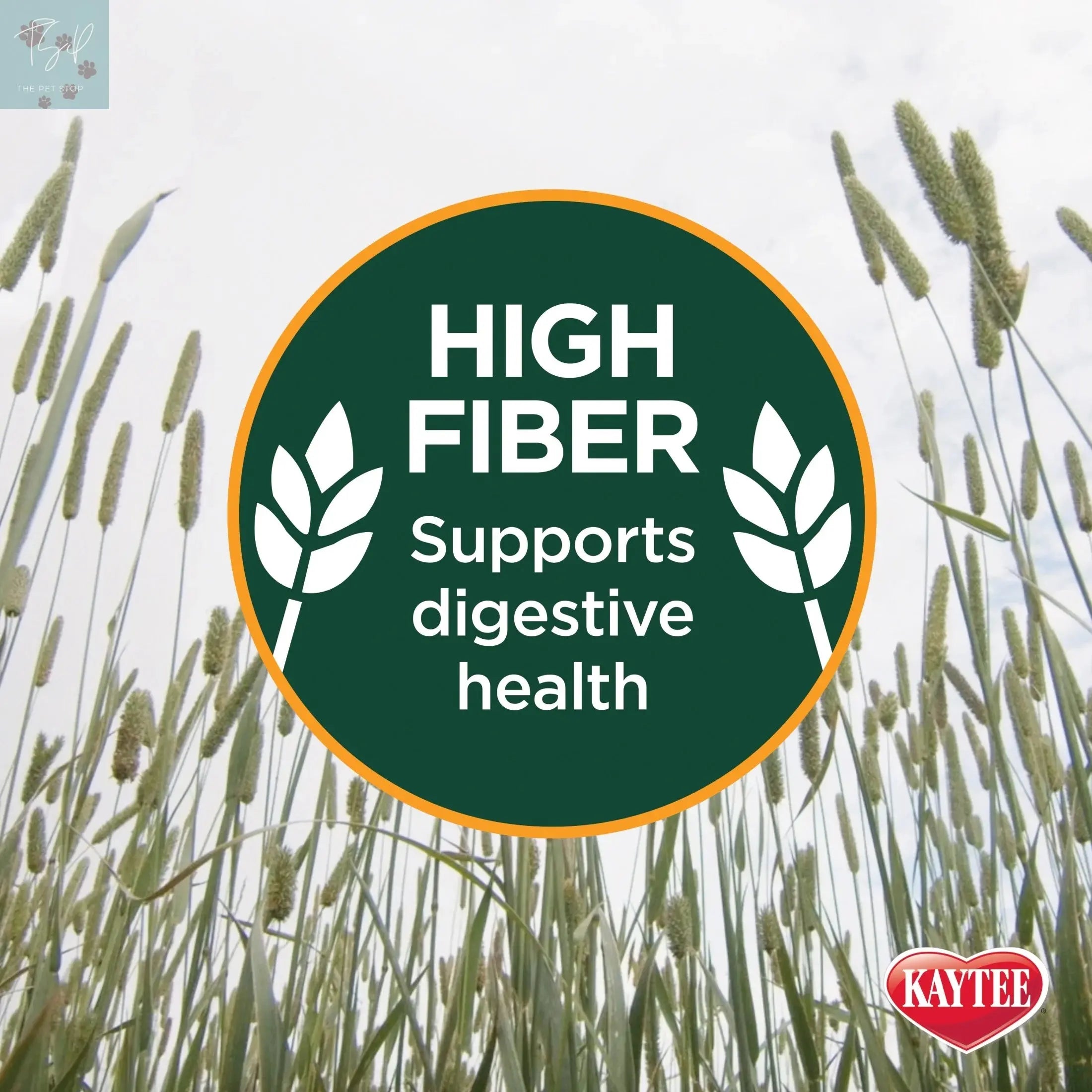 Kaytee Forti-Diet Timothy Ultra Hay with Sweet Potatoes for Small Animals, 24 Oz Central Garden and Pet