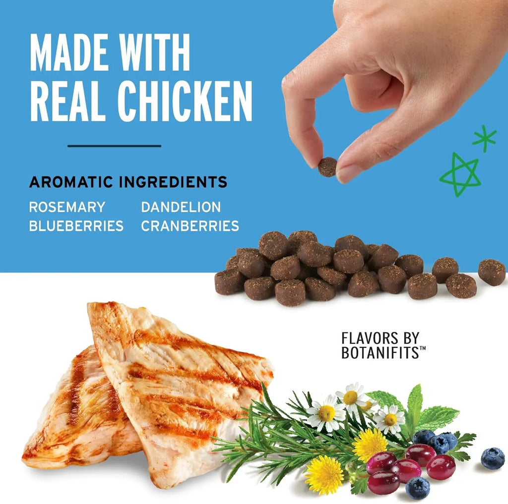 Deliciously Soft & Chewy Training Treats for Dogs - Pet Botanics 10 oz. Mini Chicken Flavor Rewards, Perfect for All Breeds! Pet Botanics