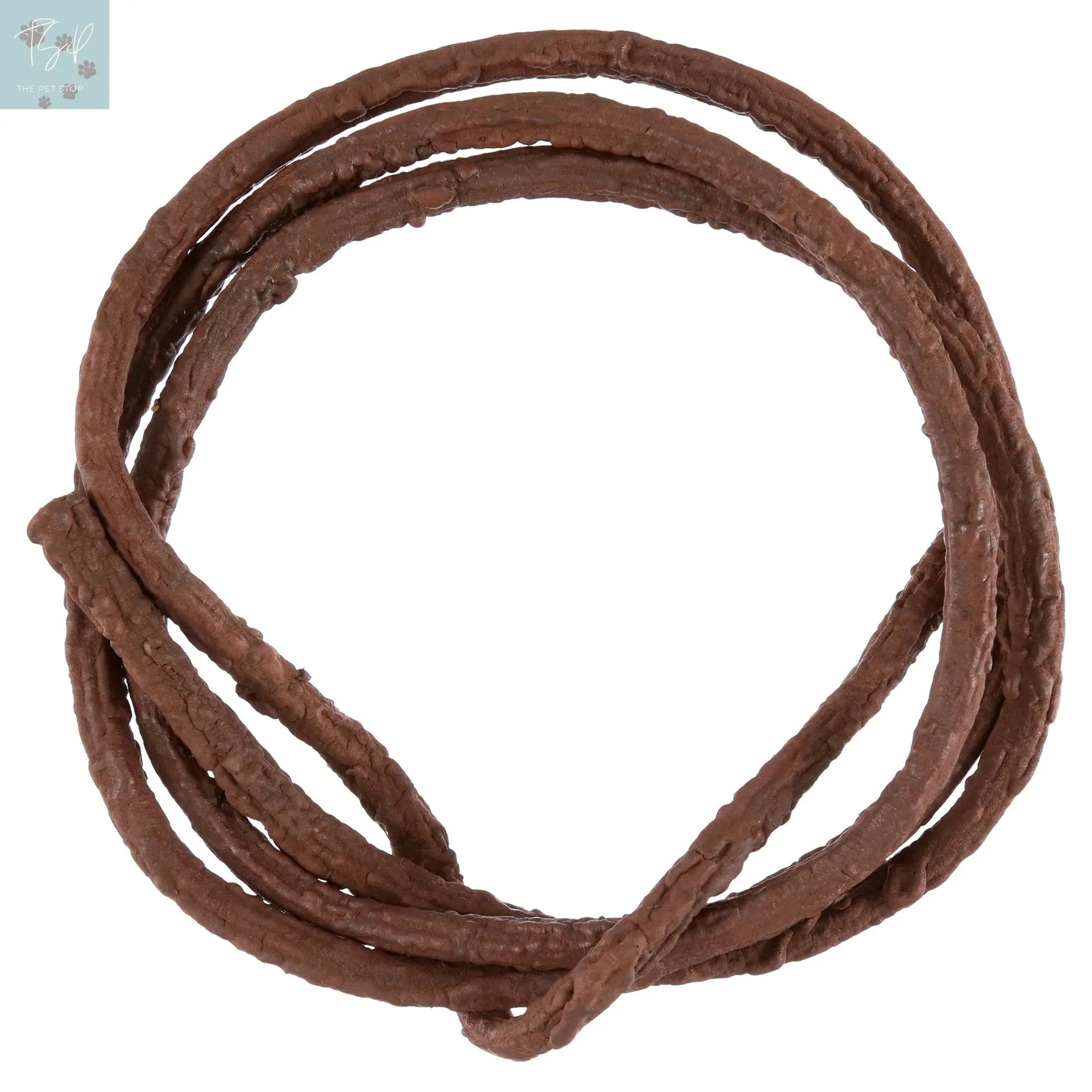 Fluker'S Bend-A-Branch Reptile Decoration, Medium Flukers