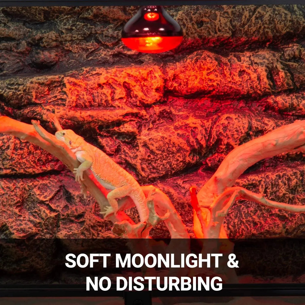 ECOSUB Reptile Heat Lamp 100W, 2Pcs E26 Basking Spot Light, Infrared Heat Lamp, Red bearded dragon tank accessories