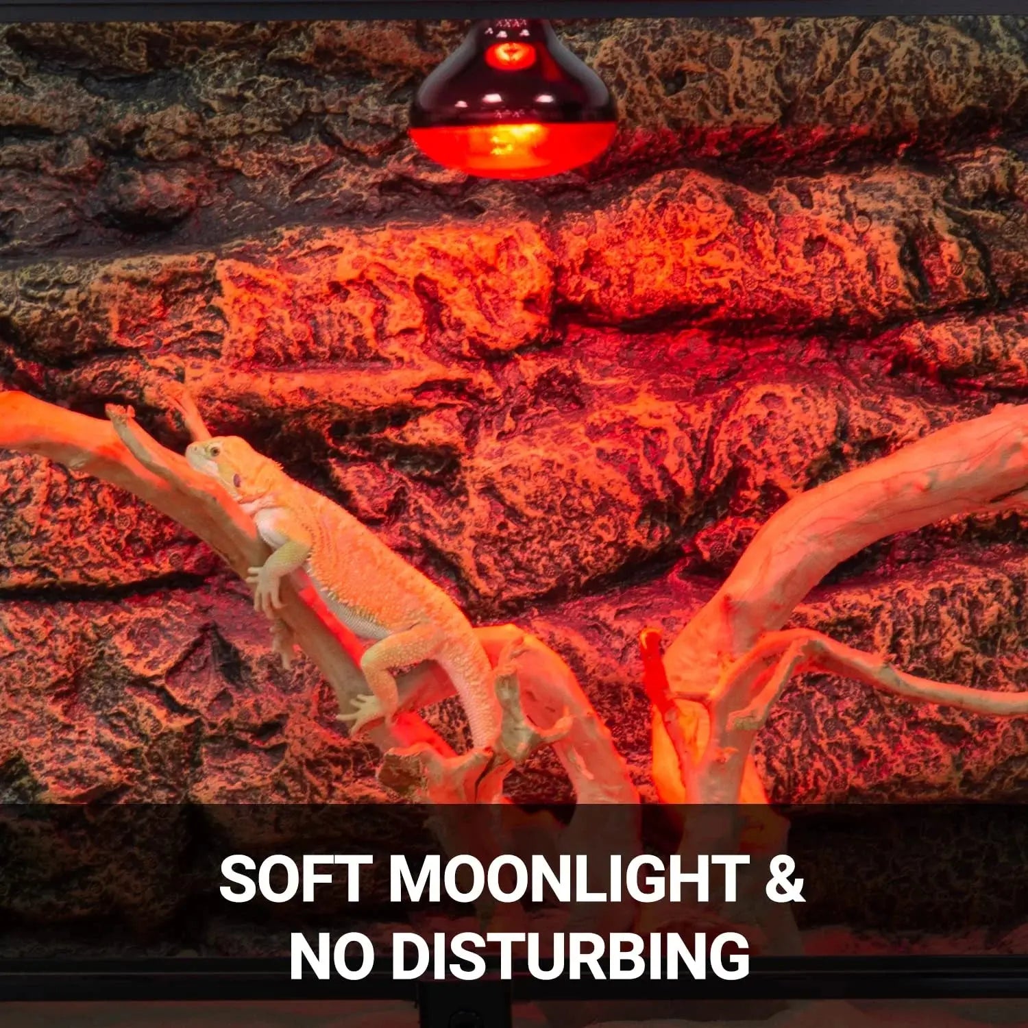 ECOSUB Reptile Heat Lamp 100W, 2Pcs E26 Basking Spot Light, Infrared Heat Lamp, Red bearded dragon tank accessories